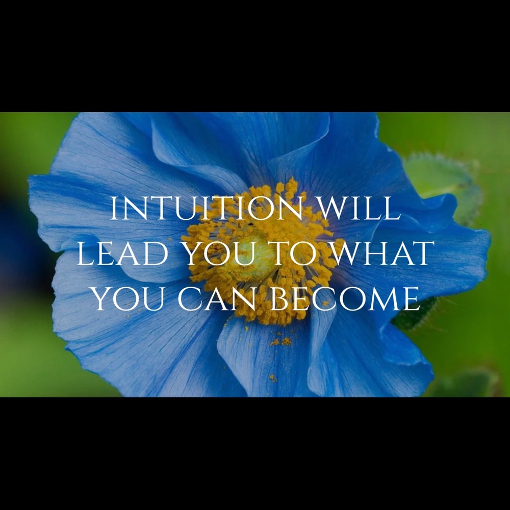 Inspiration- photo/quote by Divine Psychic Medium